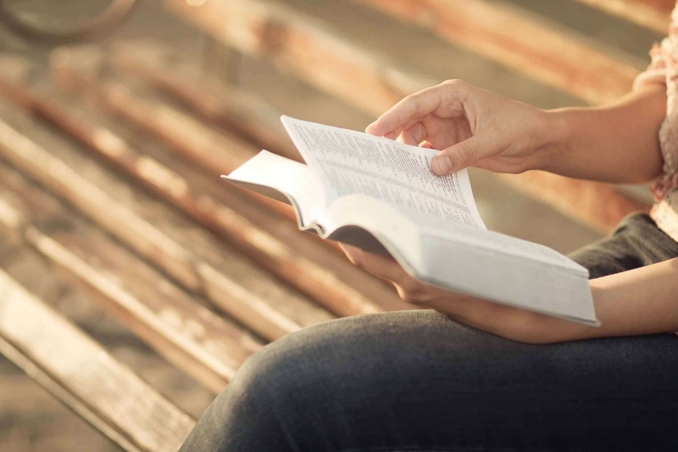 Titelbild – Gemeinsam in der Bibel lesen. | bibelstunden.ch